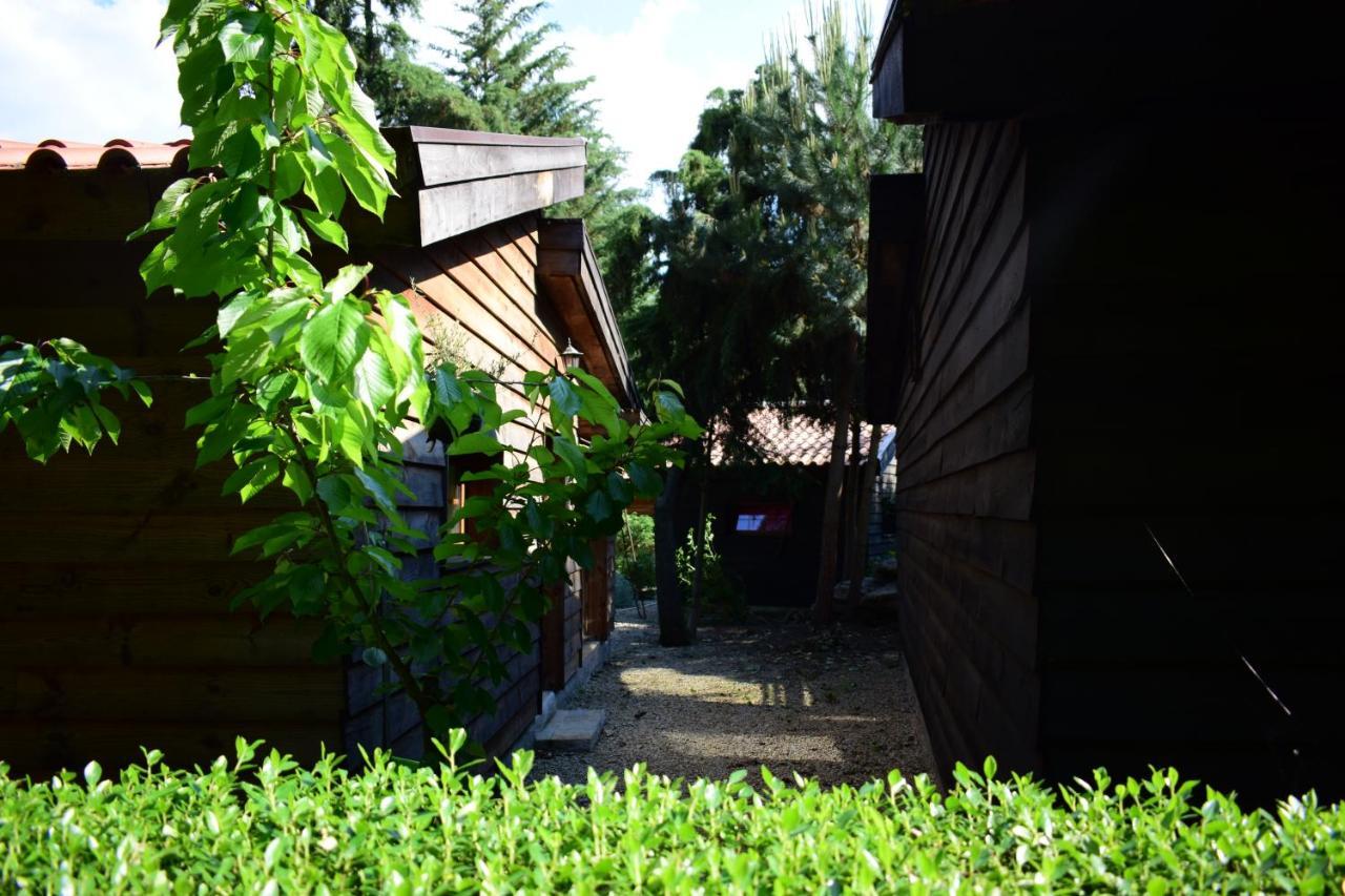 Quinta Sul America Casa de Campo Moimenta da Beira